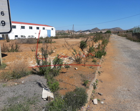 Modesto, Cartagena, Murcia 30360, ,Terreno,Venta,1043